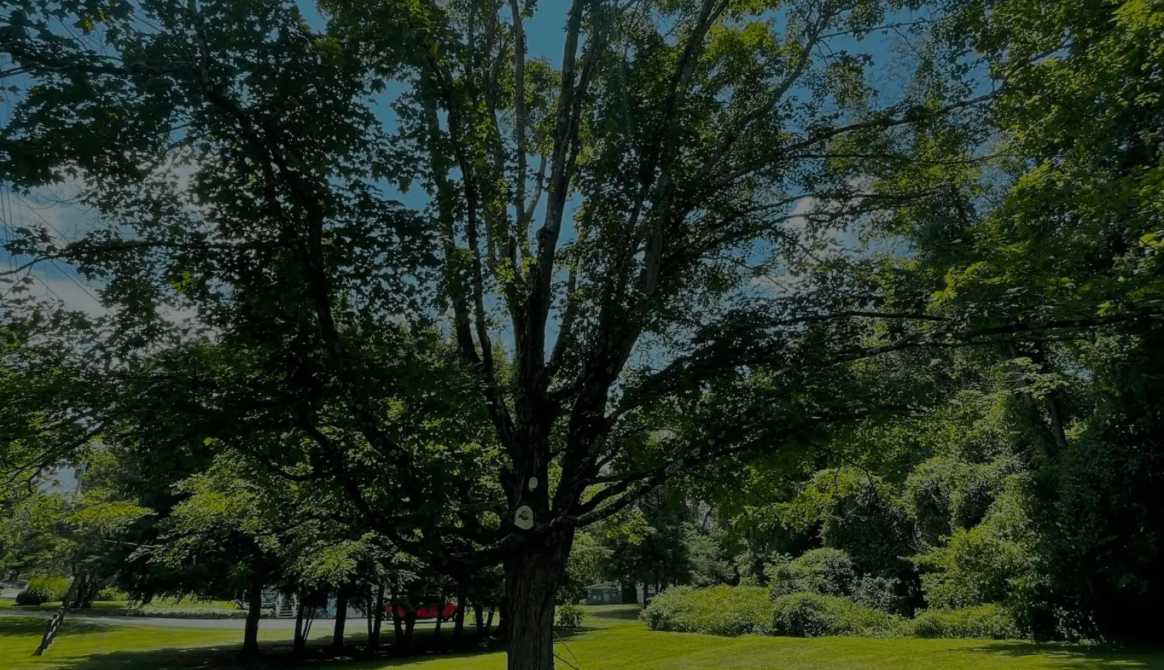 Recent projects by Jillian's Group LLC in Dutchess County