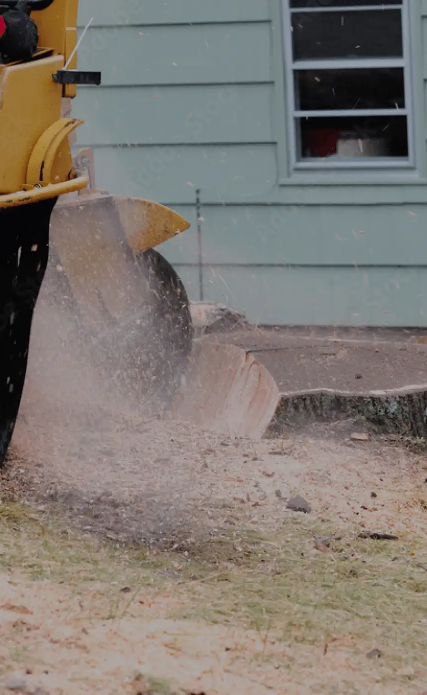 Dutchess County Stump Grinding