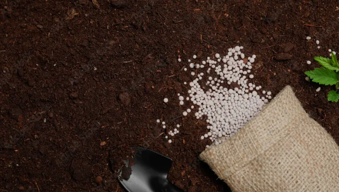 Fertilization & Soil Care